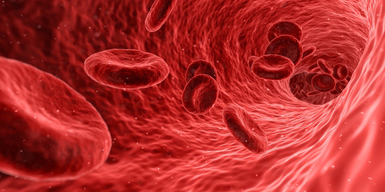 blood-ga6e1a39b6_1280 platelet-rich-fibrin-img